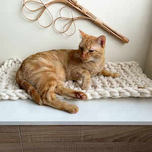 Chunky knits cat bed, merino wool pet bed, Warm and natural merino wool chunky knit cat bed, flat cat bed, cat house