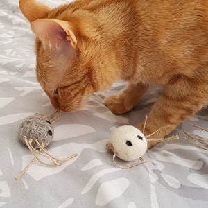 Indoor cat toy, Spider for kittens, Wool toy for cats, Autumn toys with catnip, Fall pet products, Natural wool spiders with catnip