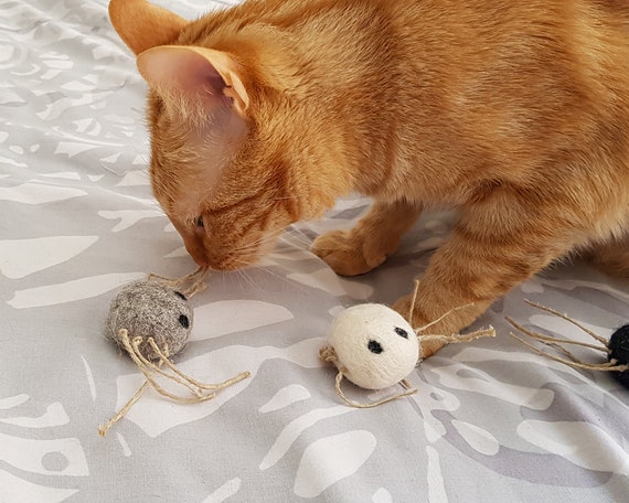 Indoor cat toy, Spider for kittens, Wool toy for cats, Autumn toys with catnip, Fall pet products, Natural wool spiders with catnip