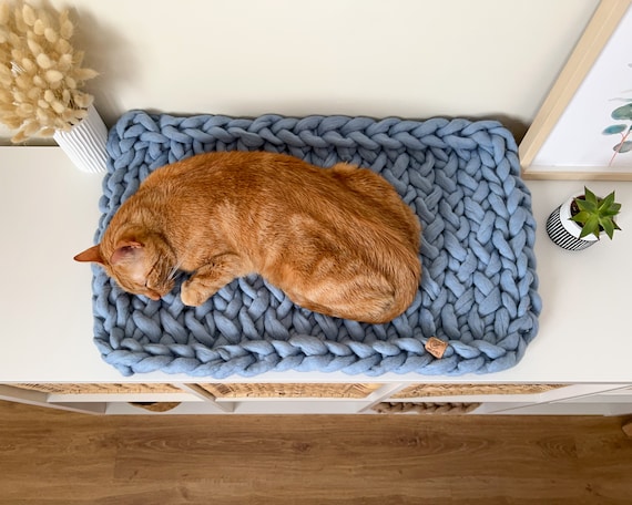 Flat cat bed hotsell