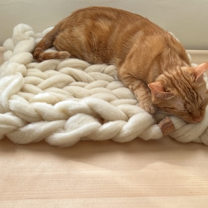 Fensterbank Wolle Katzenbett, Weiches natürliches Merino Bett für Katzen, Handgemachtes gestricktes Indoor-Katzenbett, Weiß gewebtes Katzenbett für Möbel
