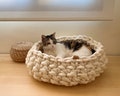 Crochet chunky knit pet bed, Natural merino wool bed for cats, Round padded indoor cat bed, Natural wool cat cot, Super soft cat bed product logo