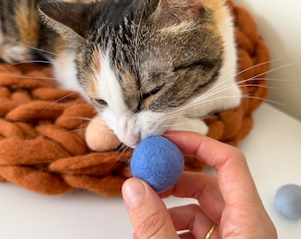 Natural wool cat toys, kitty felt ball set, colorful pet balls with a catnip bag