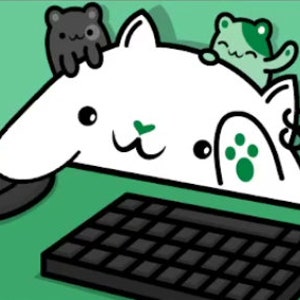 Bongo Cat Web Cam For Your Twitch, Youtube, Facebook Stream - Mint