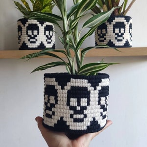 Skull Macrame Plant Pot Cover, Skull Pot Cover, Skull decor, Gothic decor