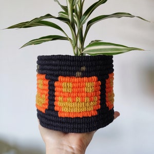Könnte beinhalten: Eine grün-weiße Pflanze in einem schwarzen gehäkelten Topf mit orangefarbenen und gelben geometrischen Mustern.