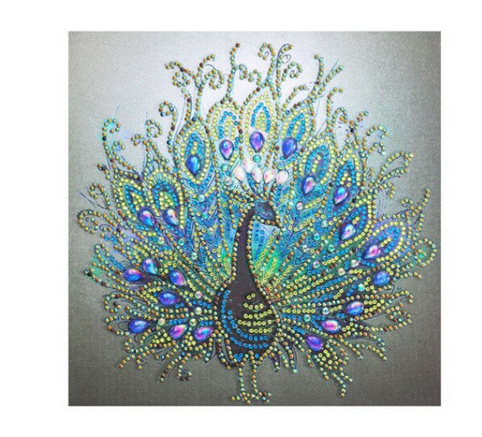 11.81x11.81 Peacock Diamond Painting kit Special Shaped Etsy