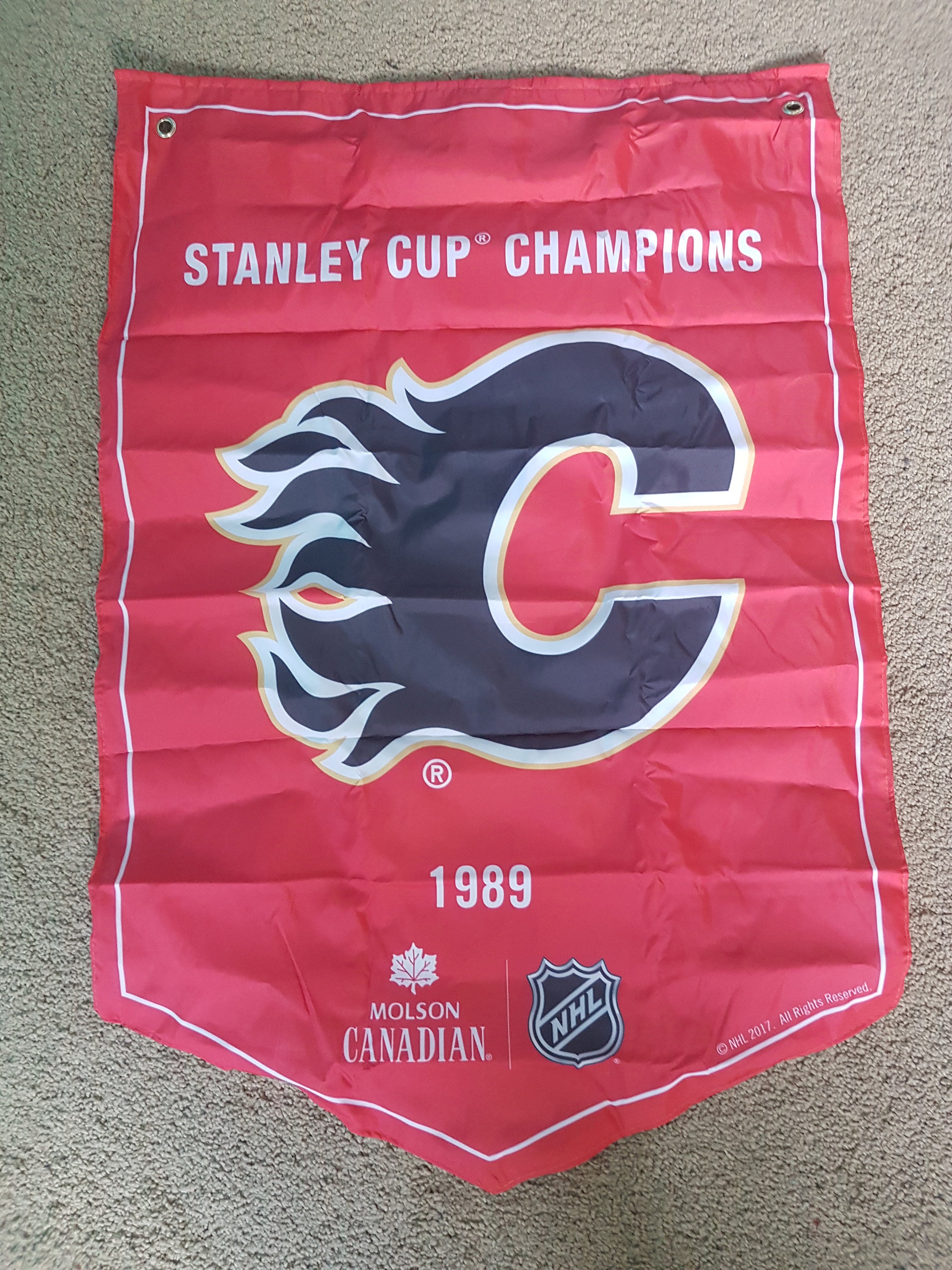 Philadelphia Flyers Stanley Cup & Retired #'s Vinyl Decal Replica Arena  Banners