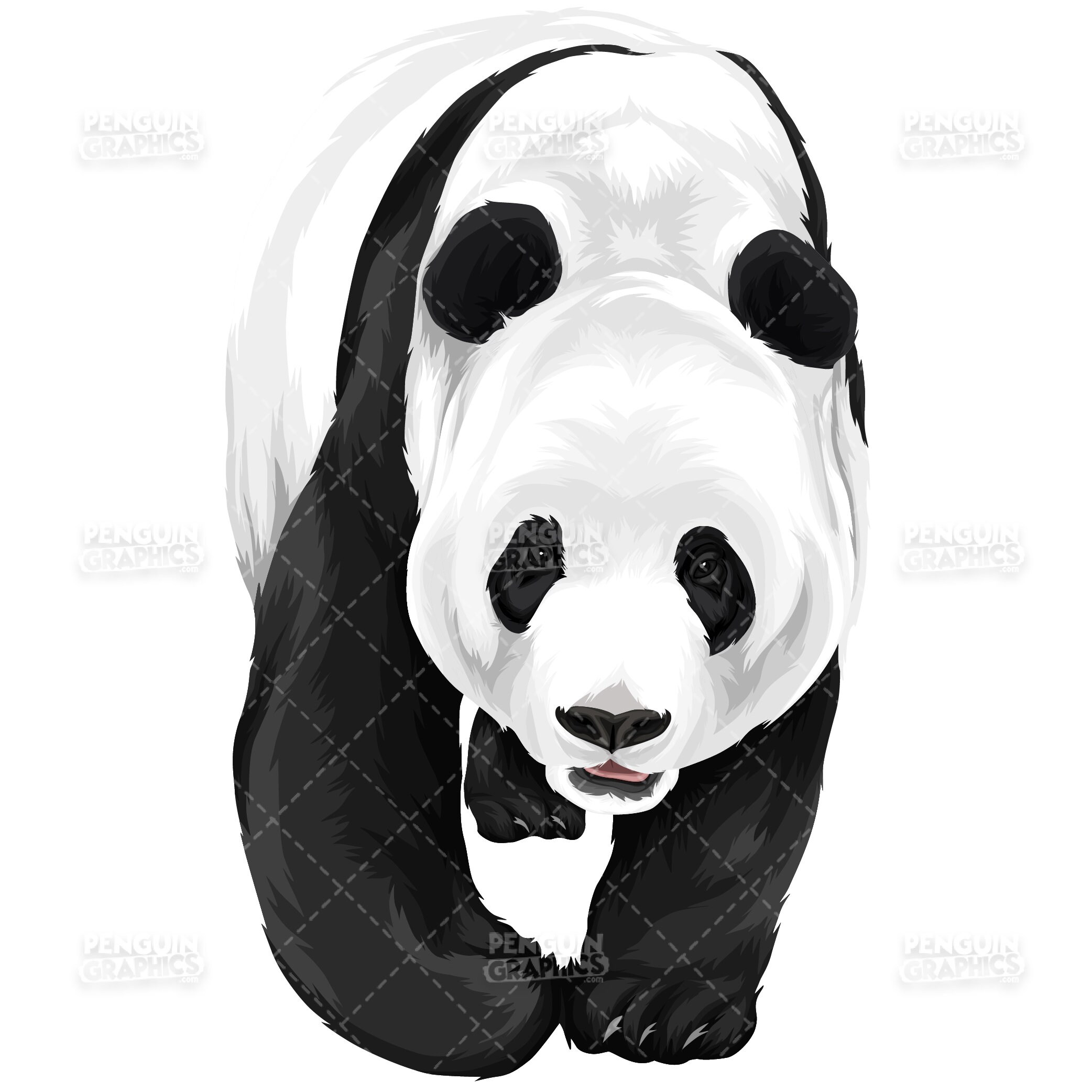 Cute Panda Version 9 Vector Clipart Illustration | Etsy