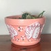 see more listings in the Flowerpots section