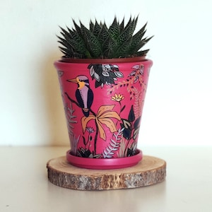 Pode incluir: Um vaso de cerâmica rosa com um design floral e um pássaro. O vaso tem um pires correspondente e está cheio de uma planta suculenta verde.