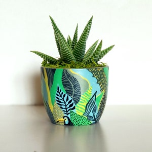 Könnte beinhalten: Eine kleine grüne Sukkulente in einem handbemalten Keramiktopf. Der Topf hat ein farbenfrohes Design mit grünen, blauen, gelben und schwarzen Blättern und einem Tukan.