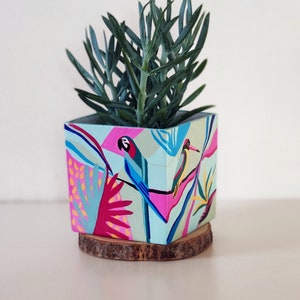 Könnte beinhalten: Ein quadratischer, handbemalter Pflanztopf mit einem tropischen Vogeldesign, das einen Papagei und andere bunte Vögel zeigt, auf einem Holzsockel. Der Topf enthält eine grüne Sukkulentenpflanze. Das Design des Topfes umfasst rosa, blaue und gelbe Akzente.