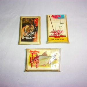 Vintage anni '80 Angling Times Colleziona una carta British Course Fishing Serie 1 Galleggianti Serie 2 Specie e Serie 3 Esche