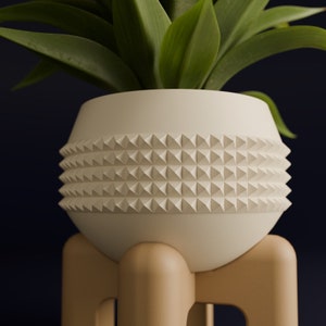 May include: A white ceramic planter with a geometric pattern sits on a wooden stand. The planter is filled with a green plant.