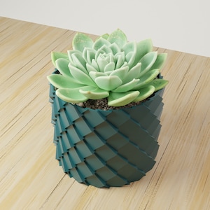 Maceta a escala / cubierta de maceta a escala de dragón / impresión 3D