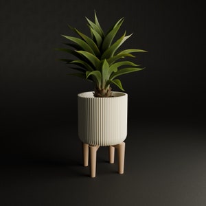 Può includere: Un vaso bianco con un design a coste poggia su un supporto in legno. Una pianta verde con foglie lunghe e appuntite cresce dal vaso.
