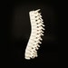 Spine candle holder / original decoration / 3D printing 