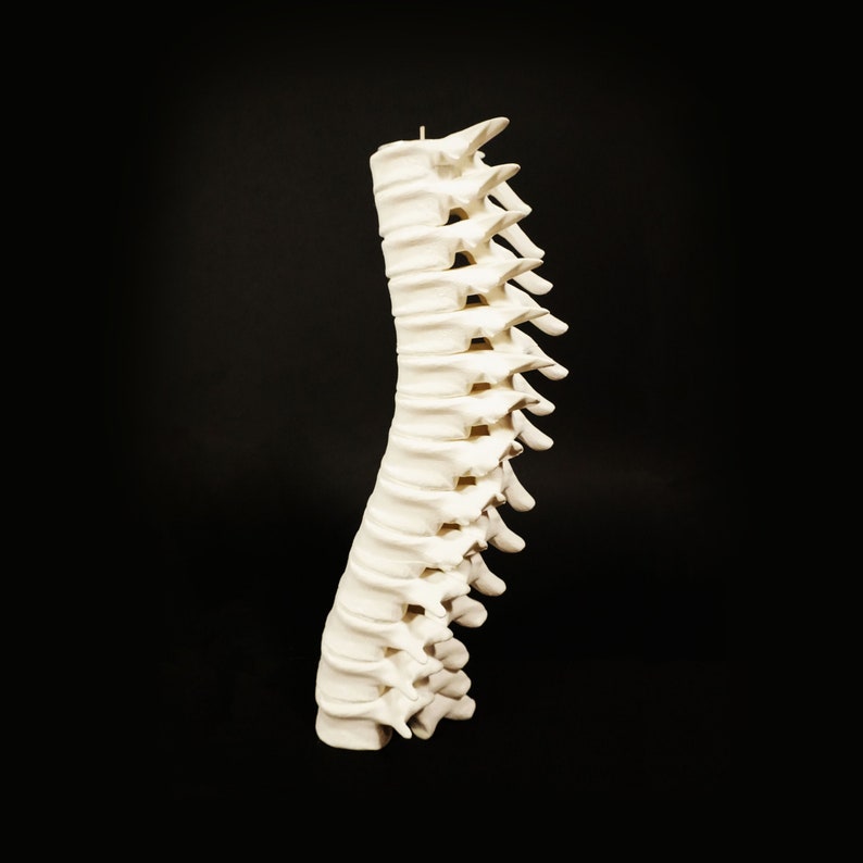 Spine candle holder / original decoration / 3D printing 