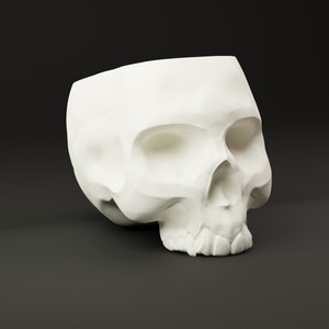 Skull flower pot / Skull Planter / 3D printing