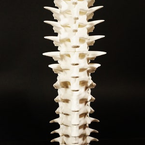 Spine candle holder / Harry Potter inspiration / cabinet of curiosities / 3D printing image 2