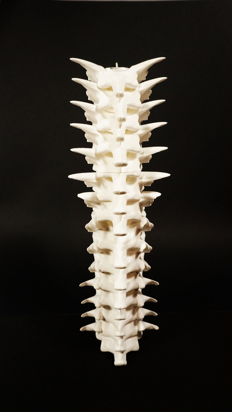 Spine candle holder / Harry Potter inspiration / cabinet of curiosities / 3D printing image 2