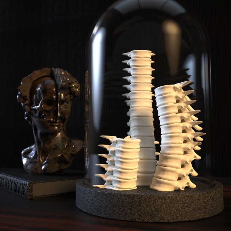 Spine candle holder / Harry Potter inspiration / cabinet of curiosities / 3D printing image 3