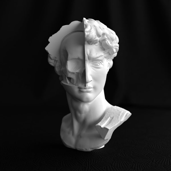 Buste de David avec crâne apparent / décoration originale / impression en 3D