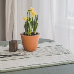 May include: A terracotta pot with a small plant of yellow daffodils on a striped table runner. The pot is sitting on a green tablecloth.
