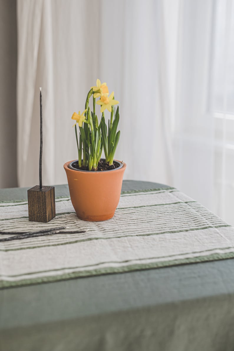 May include: A terracotta pot with a small plant of yellow daffodils on a striped table runner. The pot is sitting on a green tablecloth.
