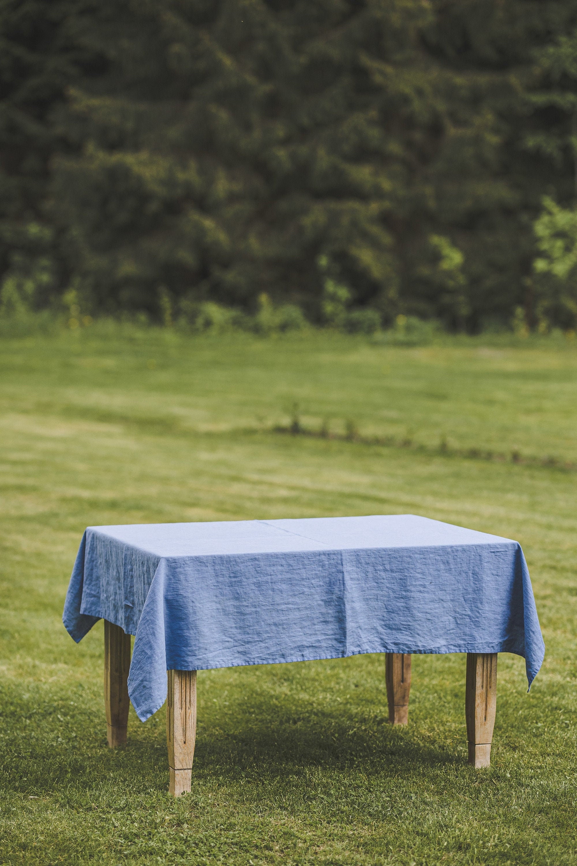 Nappe En Lin Bleu, Nappe