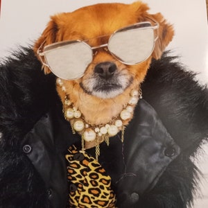 Downloaded &quot;My pet notes&quot; planner/Journal