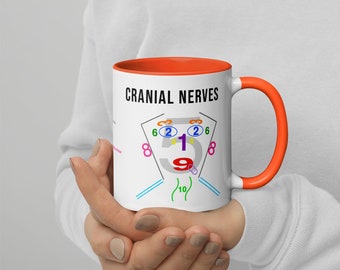 Diagrama de nervios craneales Taza