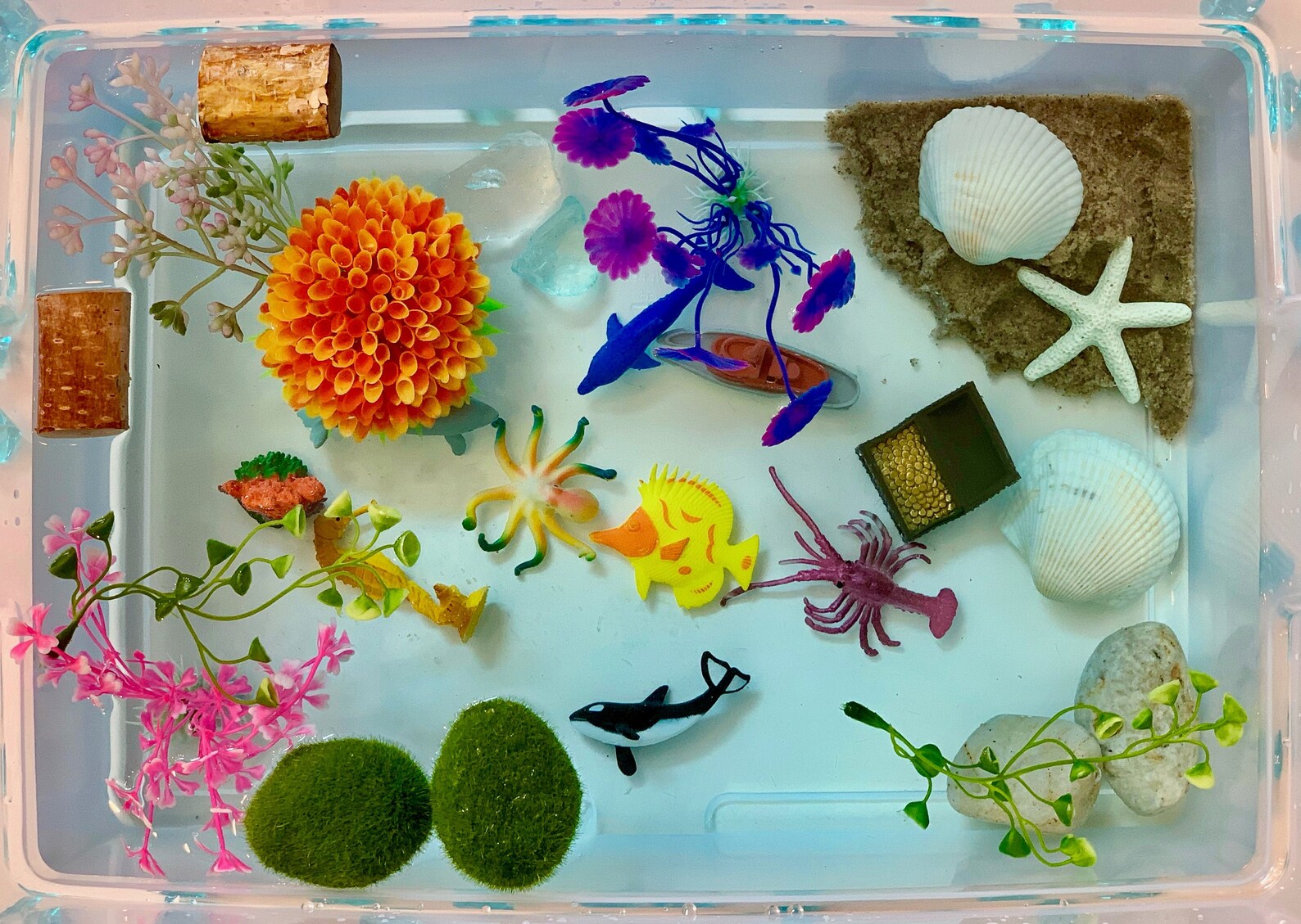 Ocean Water Play Sensory Kit Etsy