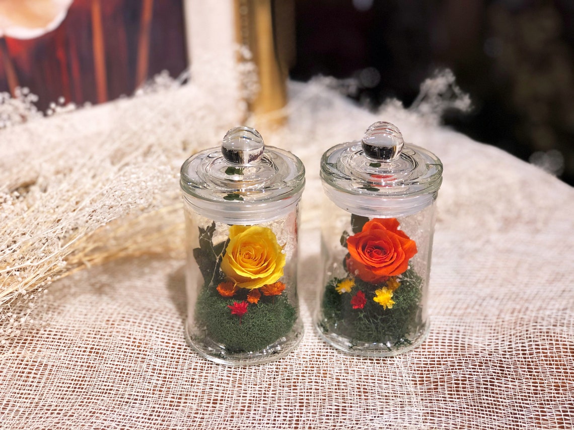 Mini single eternal rose in jar Handmade Preserved Flower Etsy