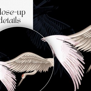 May include: Illustration of white cranes with outstretched wings against a black background. The cranes have gray and pink accents, with red markings on their heads. The image includes the text "Close-up details".
