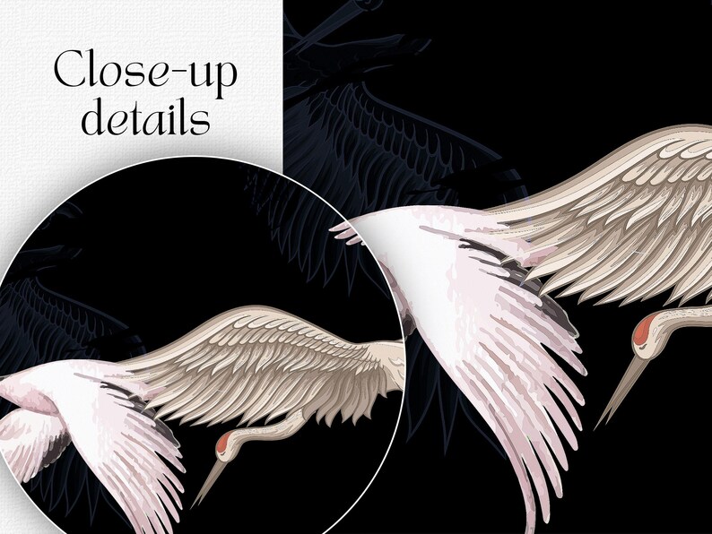 May include: Illustration of white cranes with outstretched wings against a black background. The cranes have gray and pink accents, with red markings on their heads. The image includes the text "Close-up details".