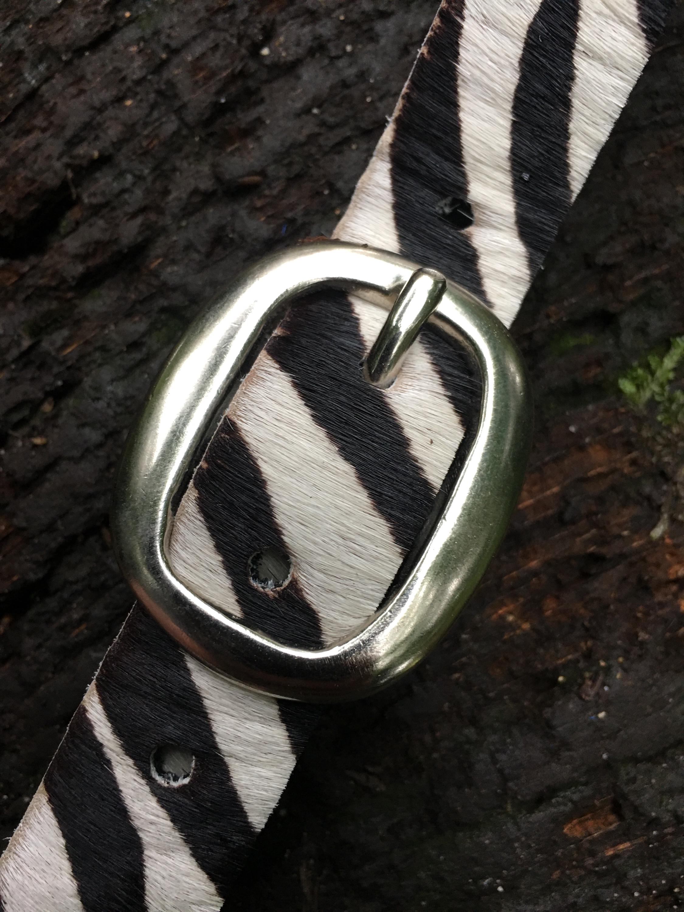 Lake Shore Drive zebra print hide and leather belt Zebra Hair on Hide Leather Belt – Ginger Blue Belts main image 3