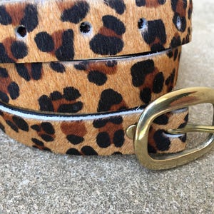 May include: A brown and black leopard print belt with a gold metal buckle.