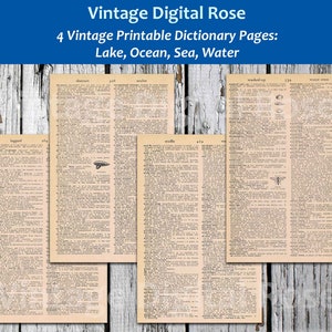 May include: Four vintage dictionary pages with illustrations. The pages are cream colored with black text and illustrations. The words "laggard", "aberrant", "noulet", "washed-up", and "watercress" are visible at the top of each page. The title "Vintage Digital Rose" is at the top of the image. The text "4 Vintage Printable Dictionary Pages: Lake, Ocean, Sea, Water" is below the title.
