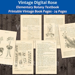 Puede incluir: Páginas de libro vintage con ilustraciones de plantas y texto sobre botánica. Las páginas están impresas en papel envejecido con un fondo de madera marrón. El texto incluye el título "Vintage Digital Rose Elementary Botany Textbook Printable Vintage Book Pages - 24 Pages".