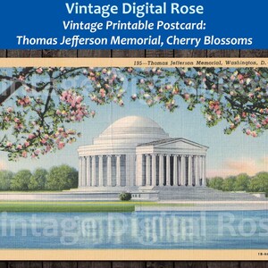 Vintage druckbare Postkarte Thomas Jefferson Memorial Washington D.C. Kirschblüten