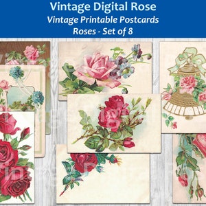 Vintage Rosen Floral Postkarten antike Blume Illustrationen Vintage druckbare Postkarte Set von 8