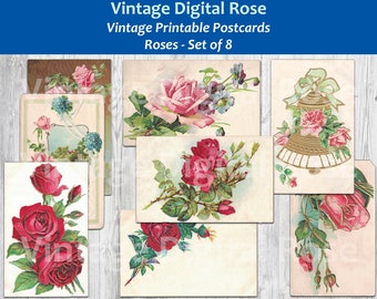 Vintage Roses Floral Postcards Antique Flower Illustrations Vintage Printable Postcard Set of 8