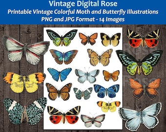 Vintage Printable Colorful Butterfly and Moth Illustrations PNG and JPG Formats Set of 14 Images