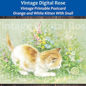 carte postale imprimée vintage Curious Orange and White Kitten avec escargot et fleurs sur Green Background Wall Art