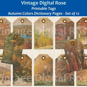 Può includere: Set di 12 etichette stampabili con scene autunnali. Le etichette sono marroni con uno sfondo di pagina di dizionario vintage e immagini di alberi, case e paesaggi in tonalità di rosso, arancione, giallo e marrone.