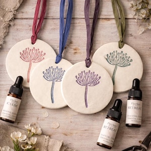 Springtime Handmade Clay Essential Oil Diffuser, Seed Head Design, with 5ml essential oil, Hedgerow Aromatherapy, choice of colours