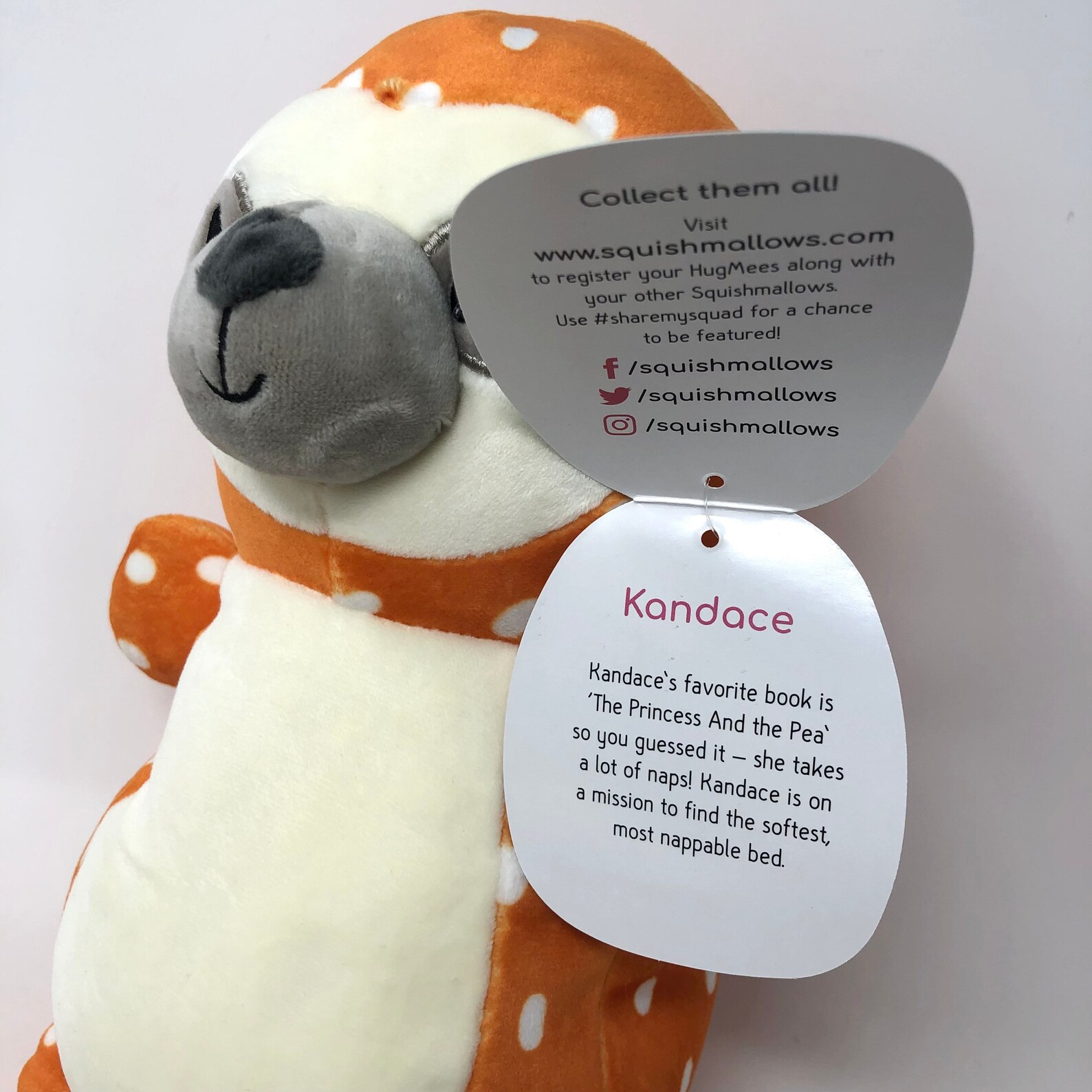 Squishmallow Kellytoy Hug Mees 3D Kandace the Sloth Plush 10 | Etsy