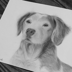 Custom Art: Unique Portraits for You and Your Furry Friend